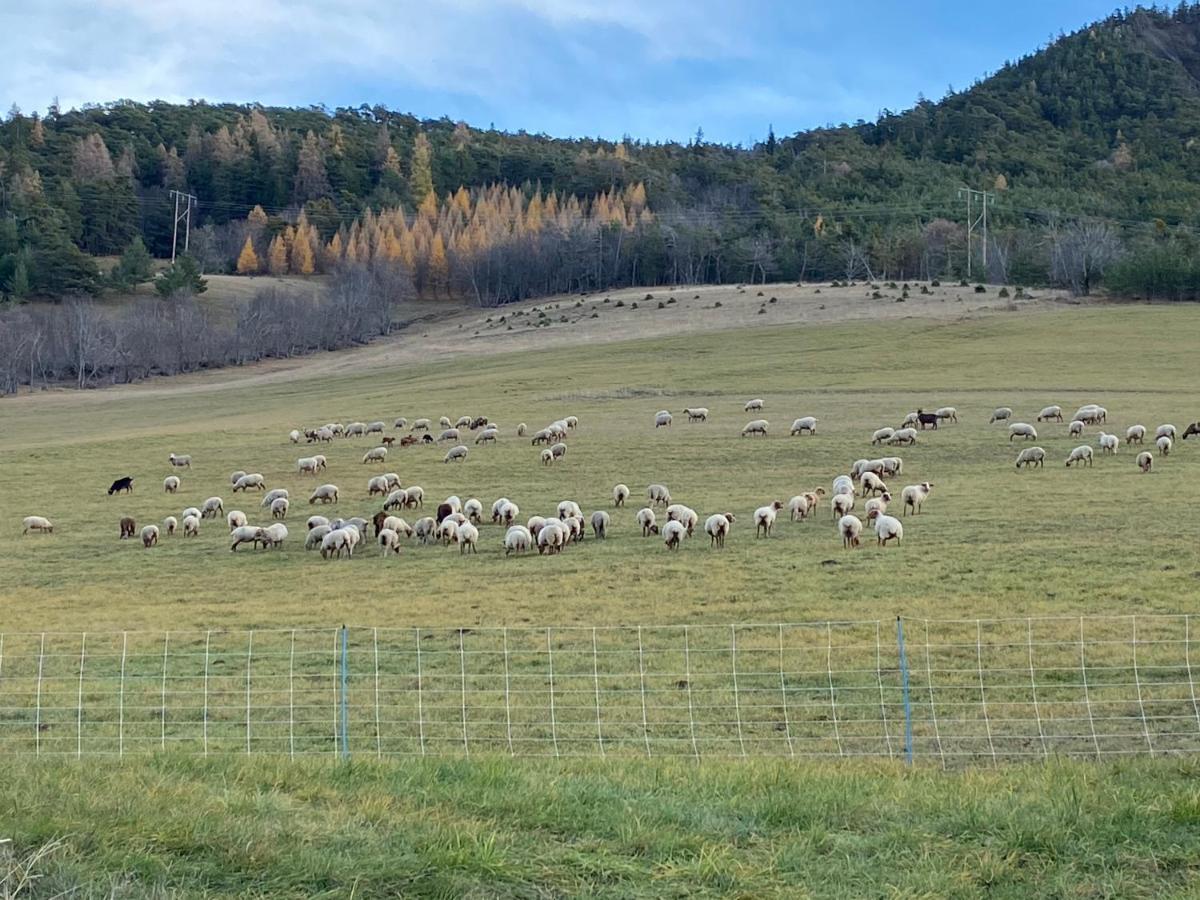 Superbe Ferme Renovee En Chalet De Luxe En Pleine Nature Barcelonnette Bagian luar foto
